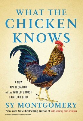 what-the-chicken-knows-9781668047361_lg.jpg
