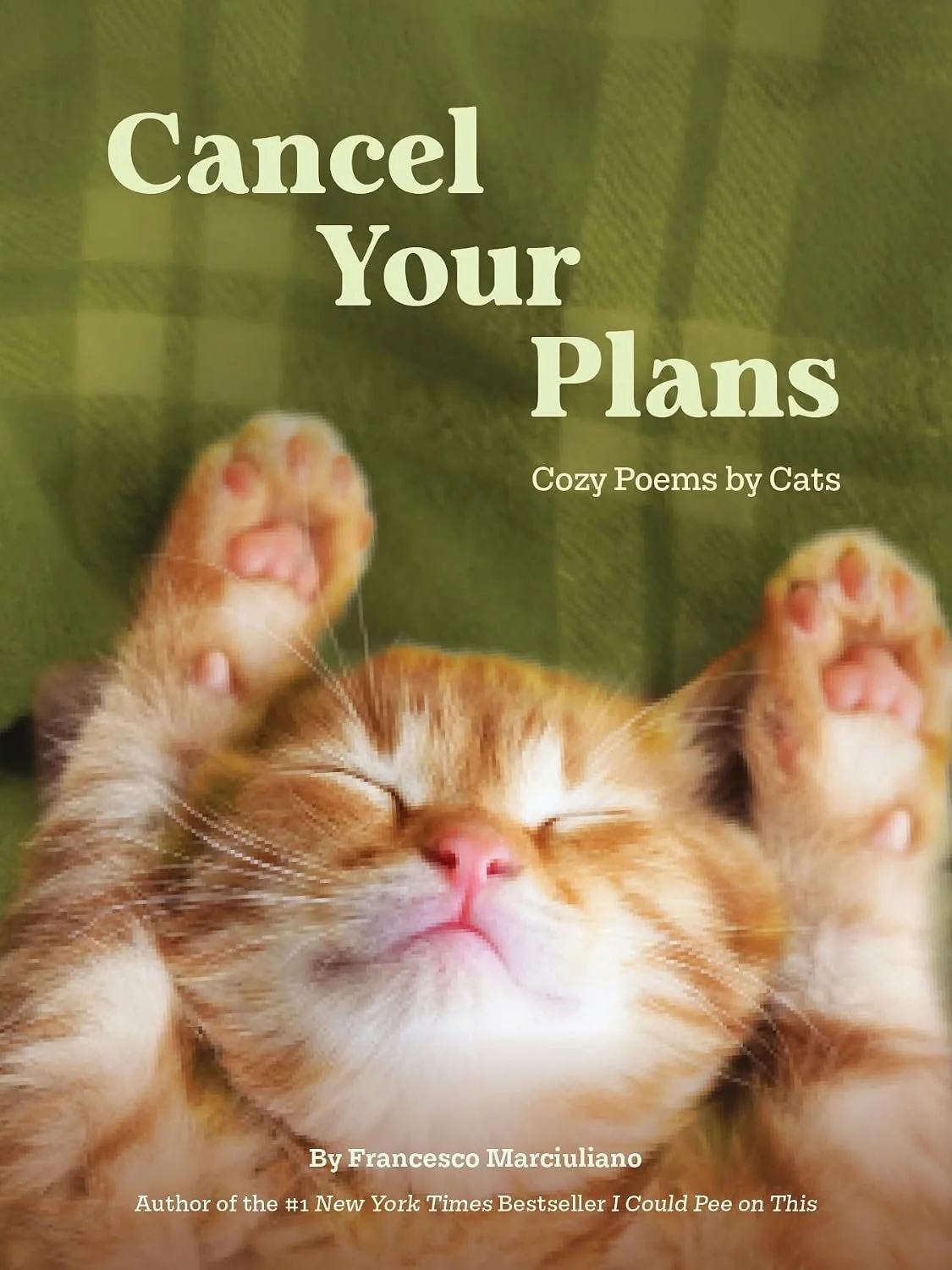 cancel your plans cozy poems by cats.jpg