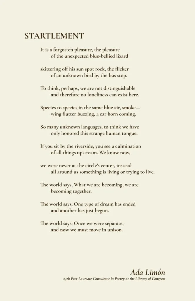 Startlement-Poem-Layout-663x1024.jpg
