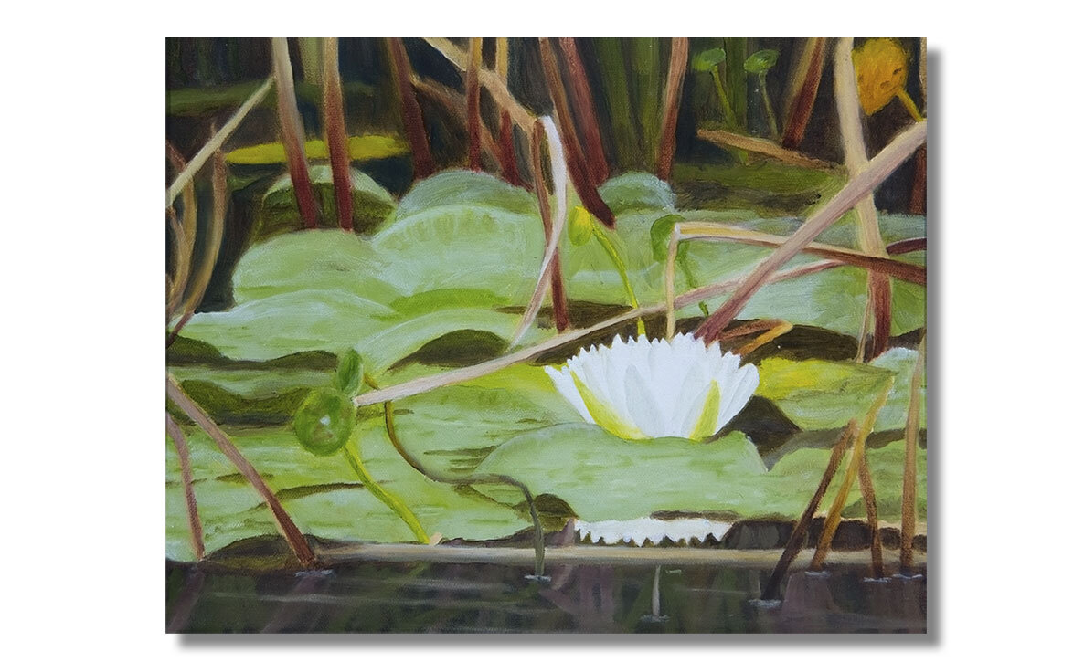 Water-Lilly-CA.jpg