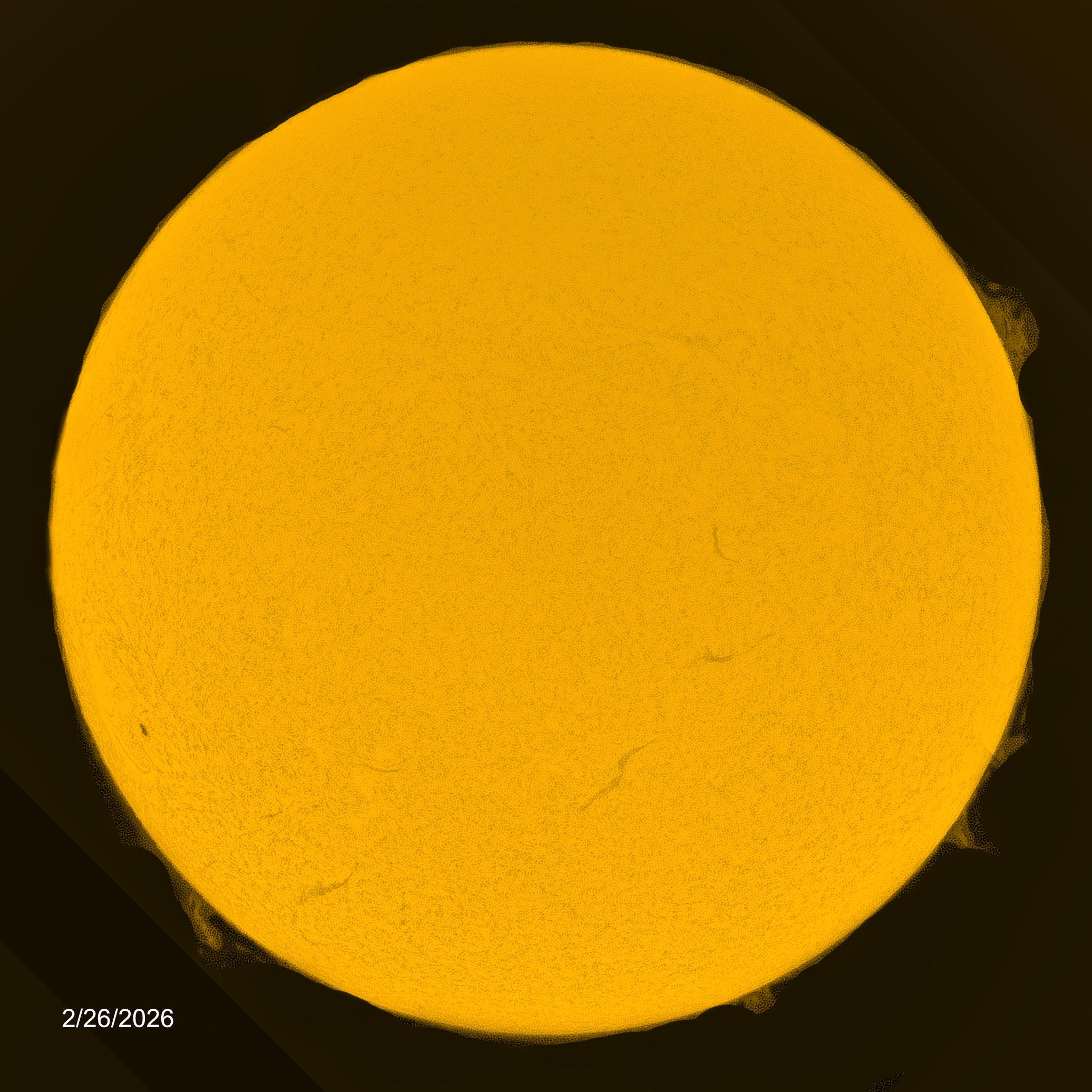 2/26/2026