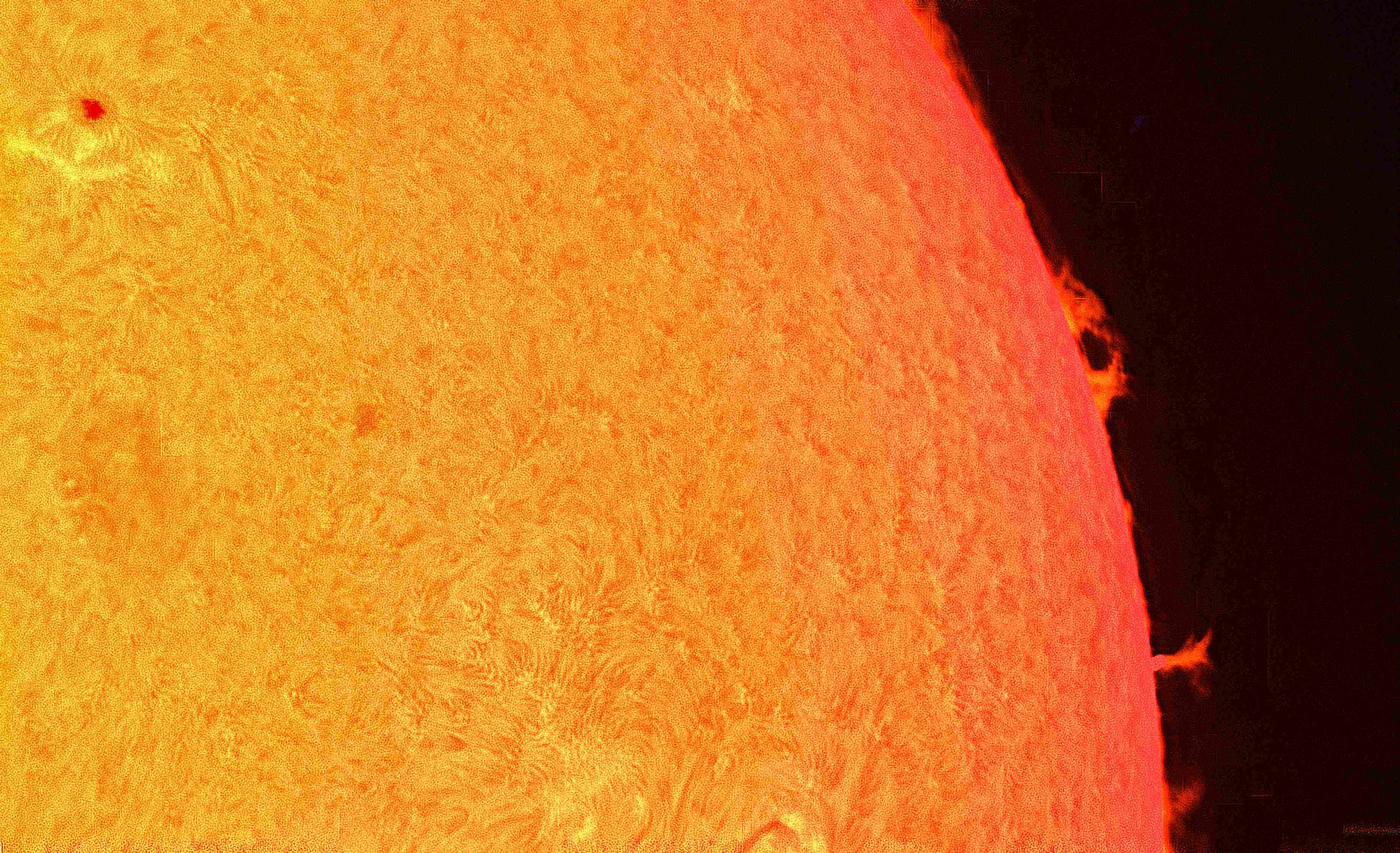 2026-03-30 Straight Piller