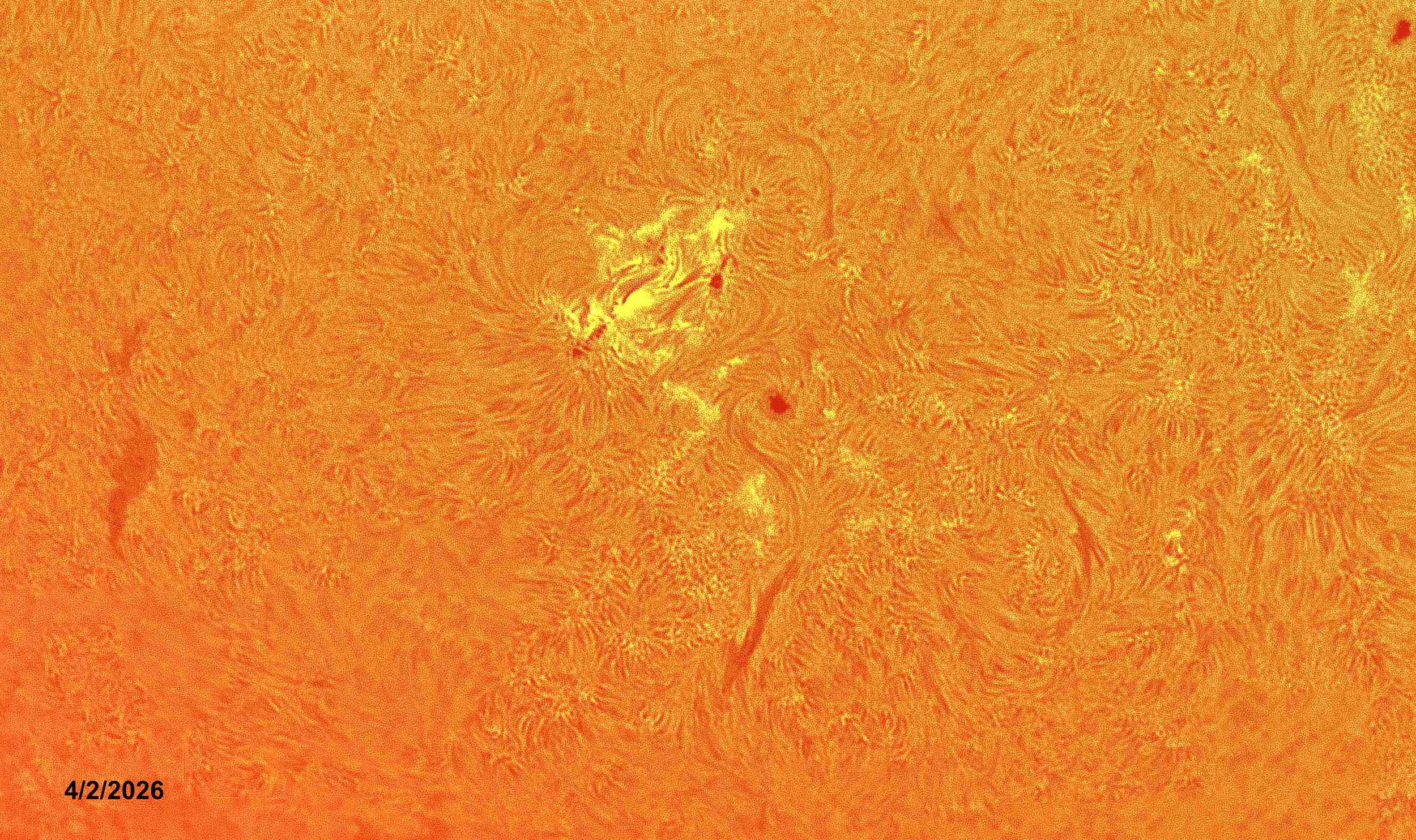 2026-04-02 Emerging Flux Region