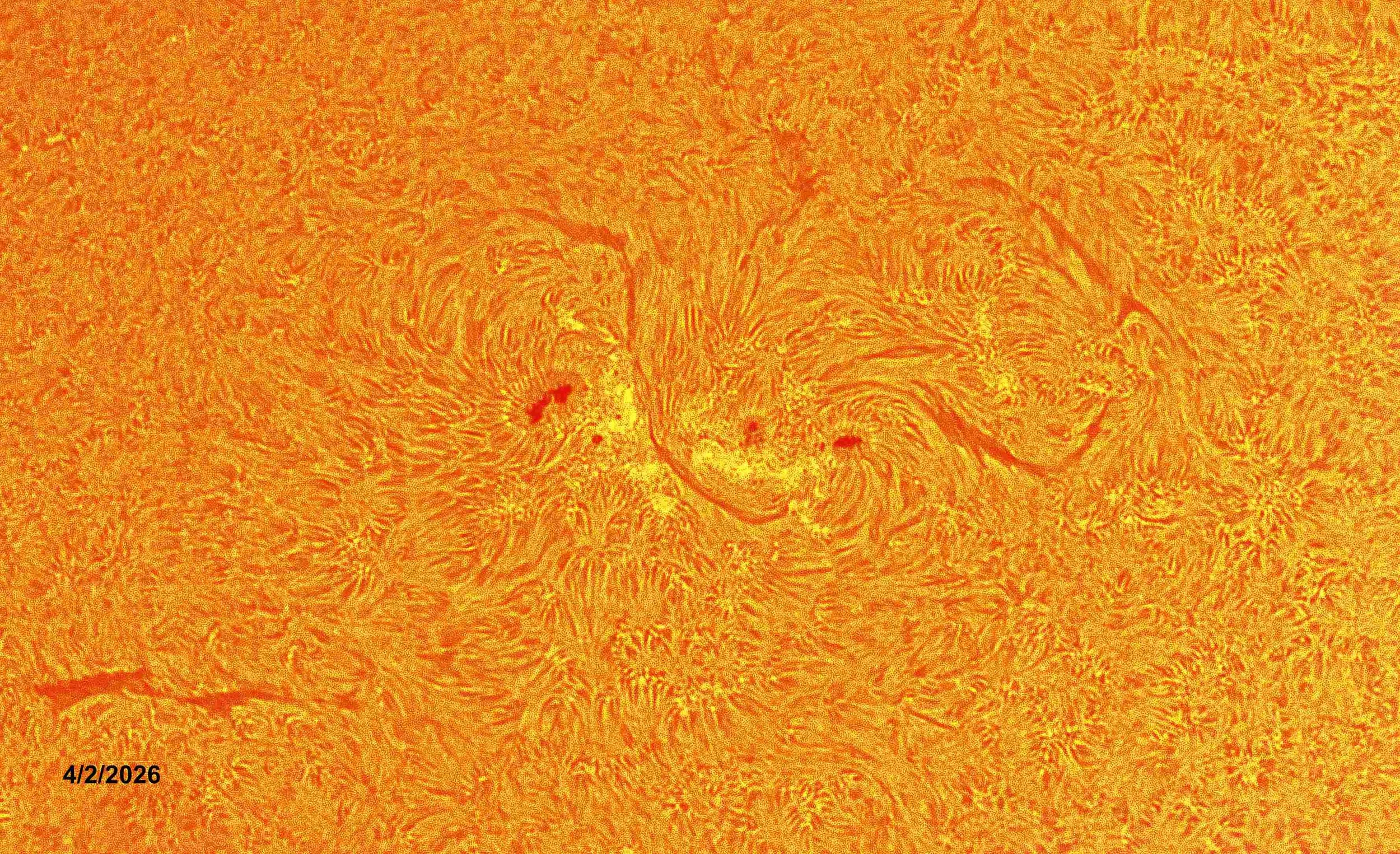 2026-04-02 Ellerman Bombs