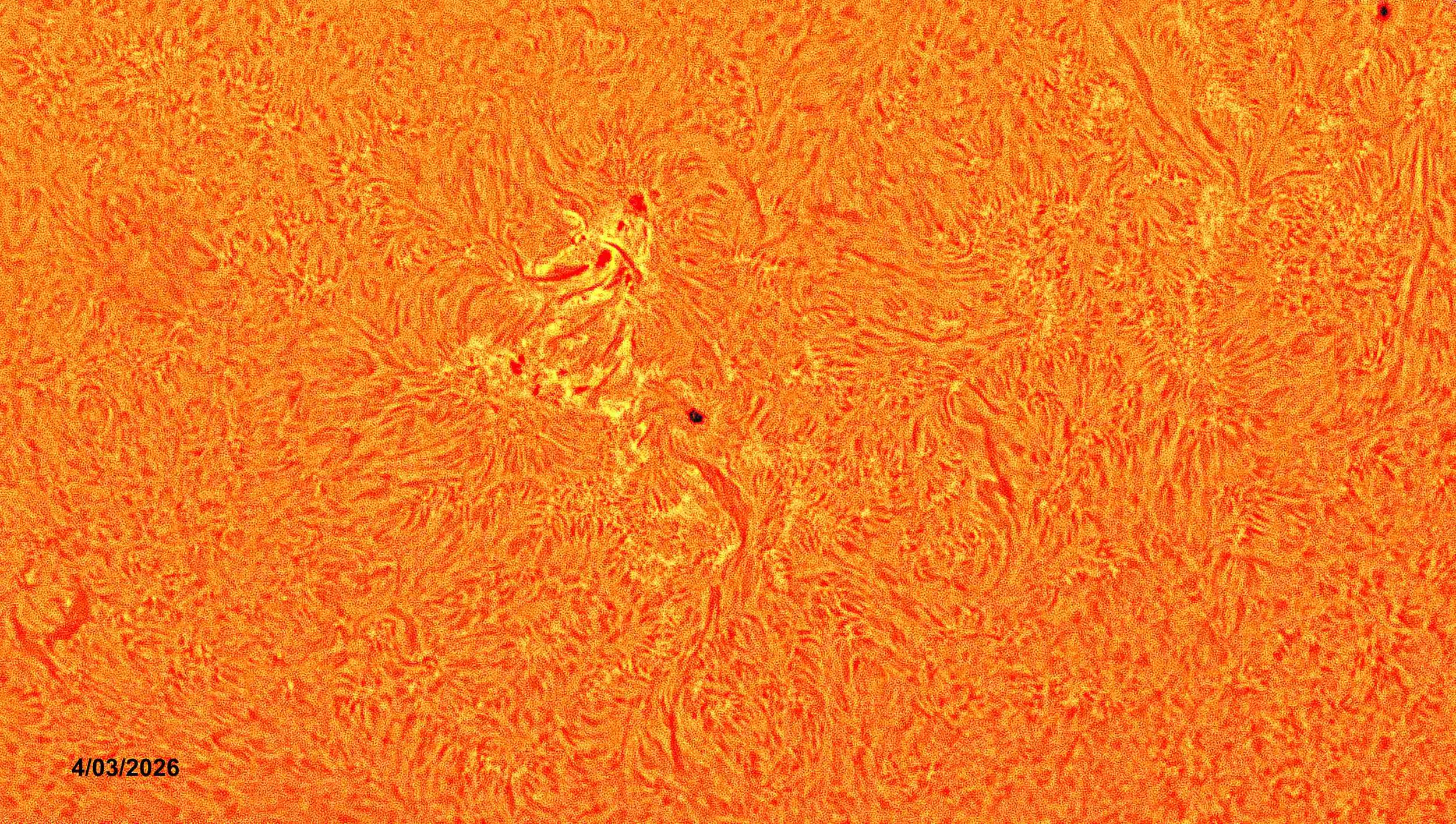 2026-04-03 Surface 1