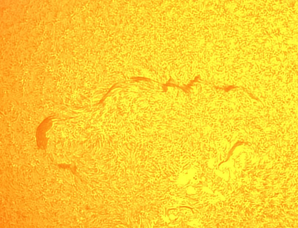 2026-03-13 FIlliment