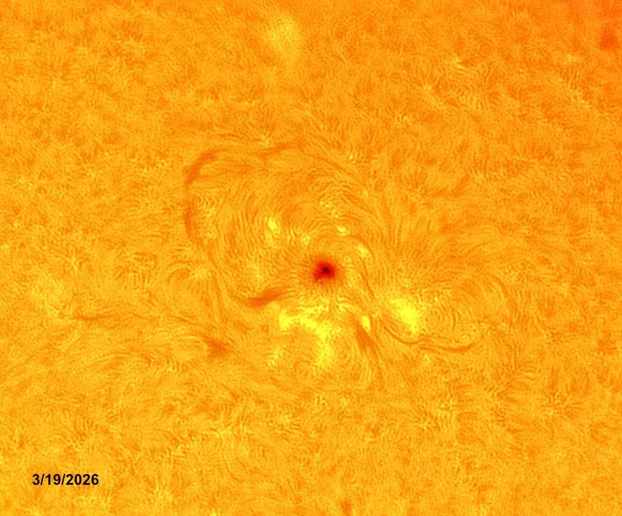 2026-03-19 Active Region