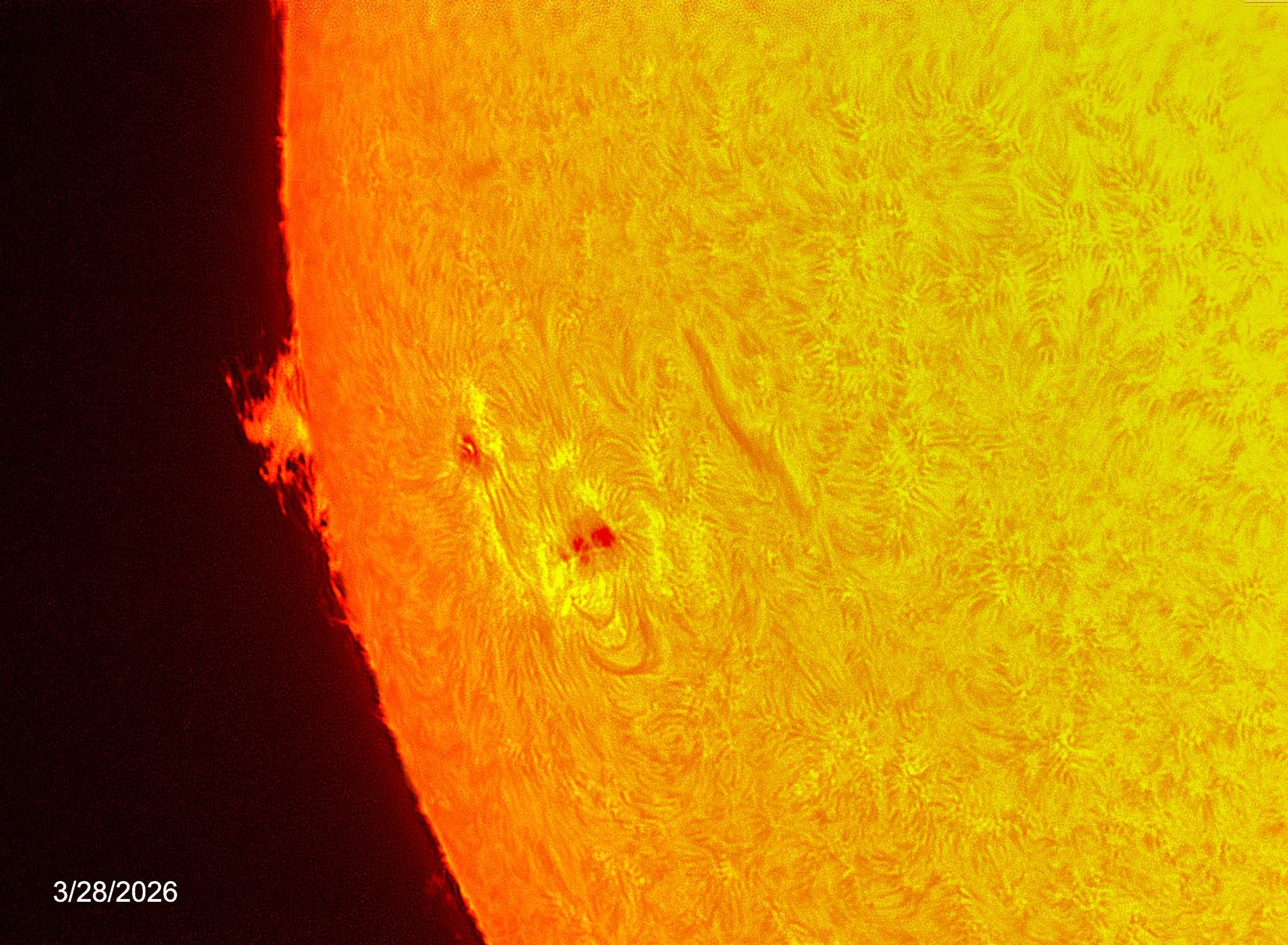 2026-03-28 Field Transition Arches