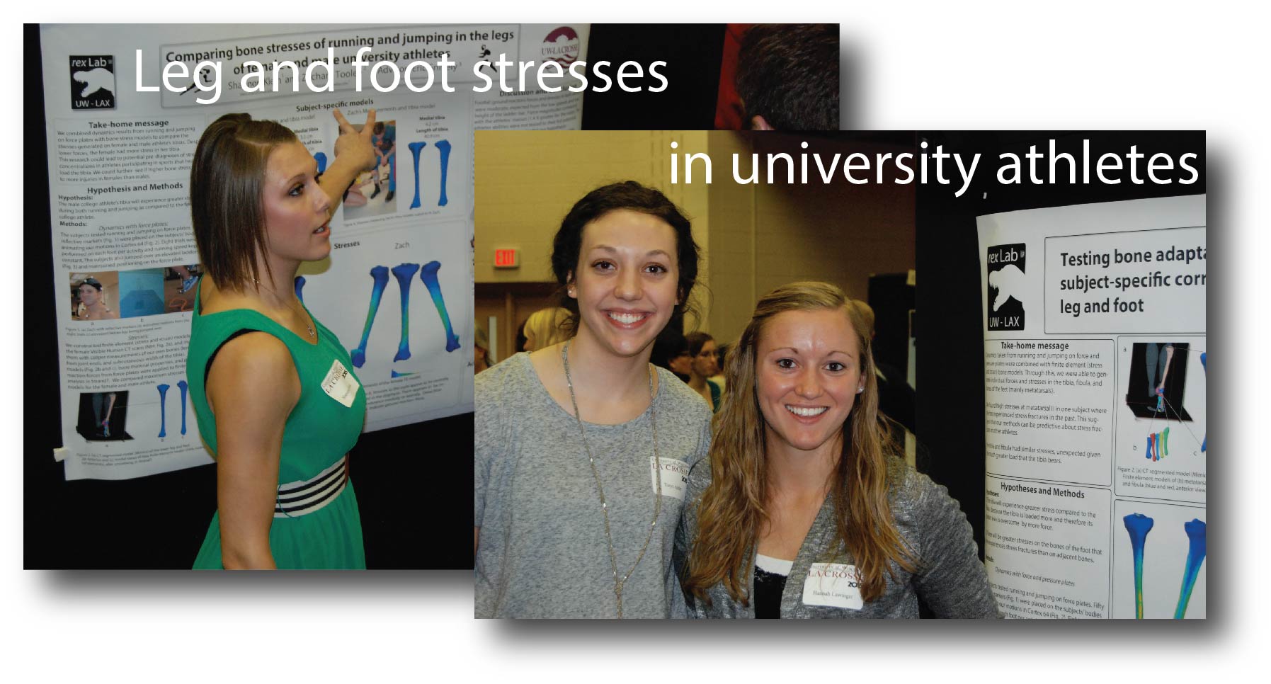 All-American sprinter Shannon Klein explains greater stress/load in her tibia compared with her colleague, wrestler Zach Tooley. Taryn Ashley and Hannah Lawinger tested hypotheses by modelling their own foot and leg bones.