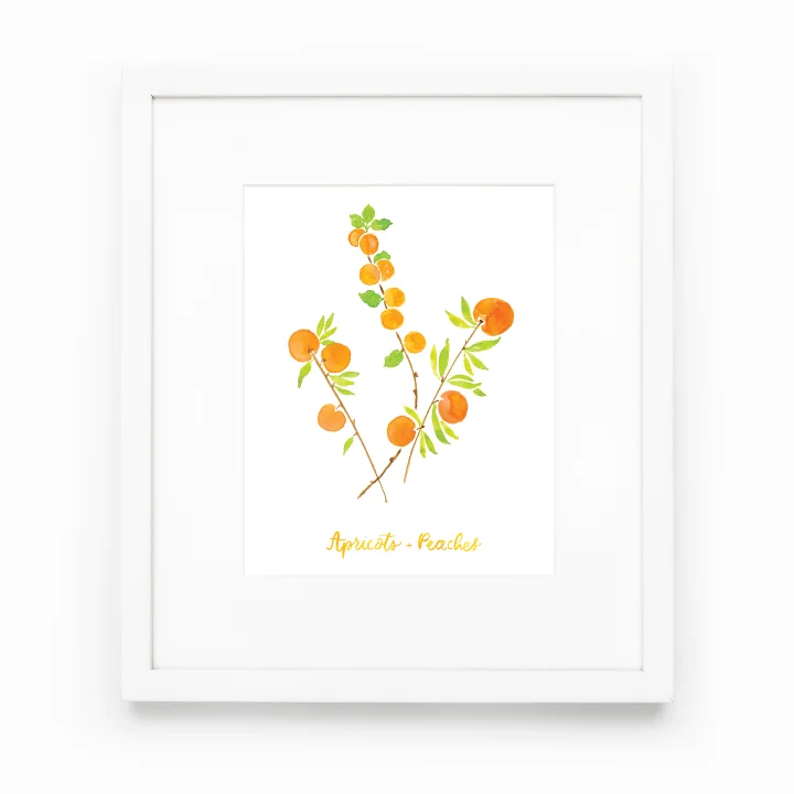 Apricot + Peaches Art Print - SALE