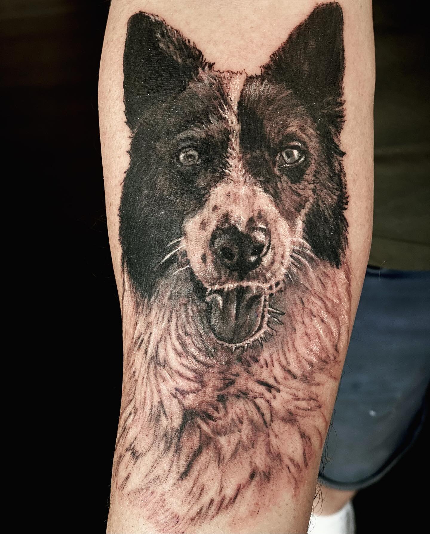 Dog portrait, thank Symon for trusting me with this. 
#portrait #blackandgreyportrait #blackandgreytattoo #dogoftheday #dog #bestfriend #rip #tattoo #tattooed #worthingtattoo #brightontattoo