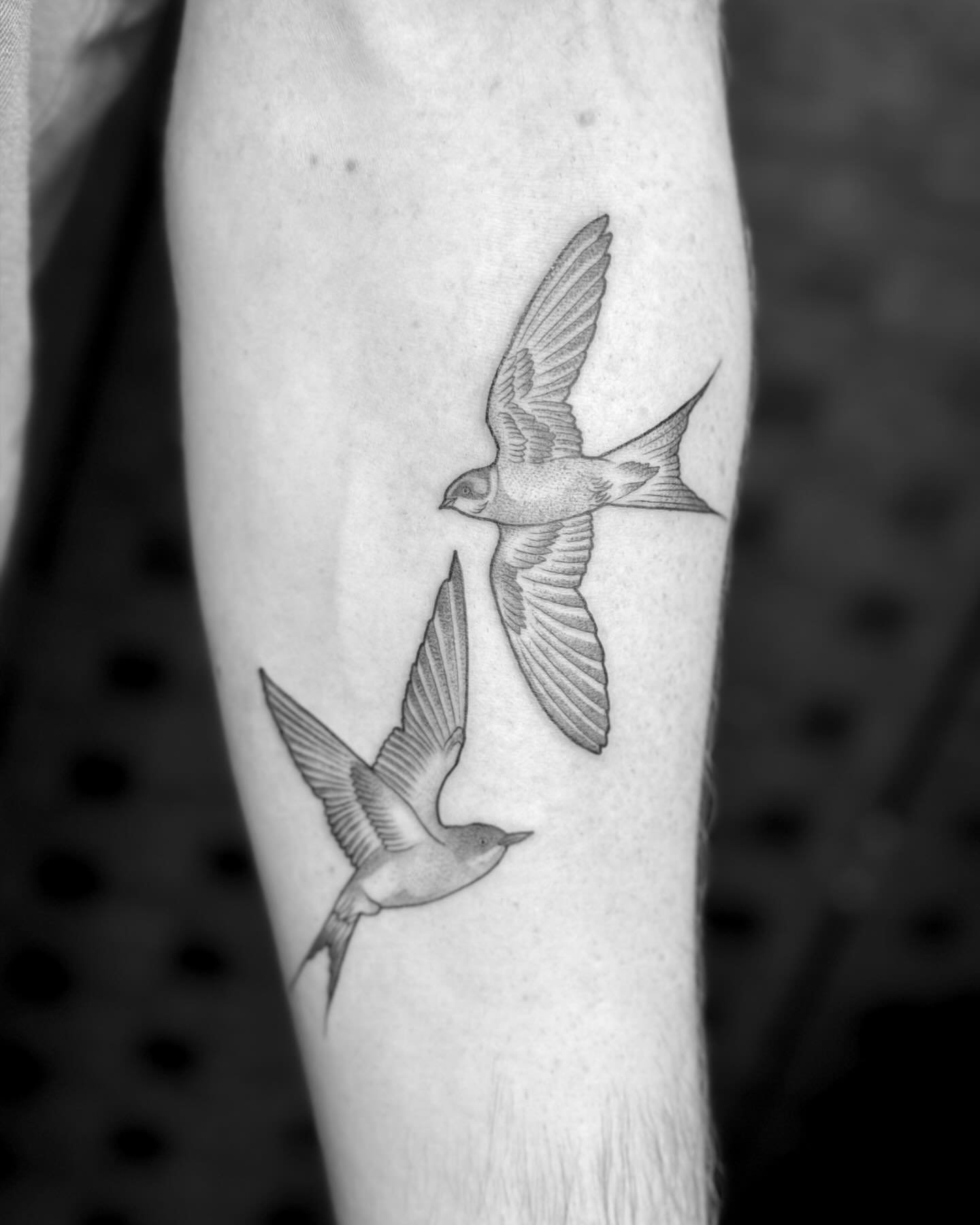 A pair of dotwork Swallows for @nate_dogg9797 🤘
.
.
.
.
#dot #dotwork #dotworktattoo #tattooideas #swallowtattoo #tatt #finelinetattoo #blxckworktattoo #artist #tattoos #tattooist #tattoosofinstagram
