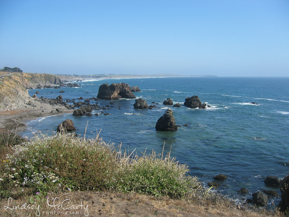 California_psewl_119_1958.jpg