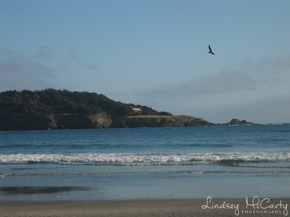 California_psewl_120_2057.jpg