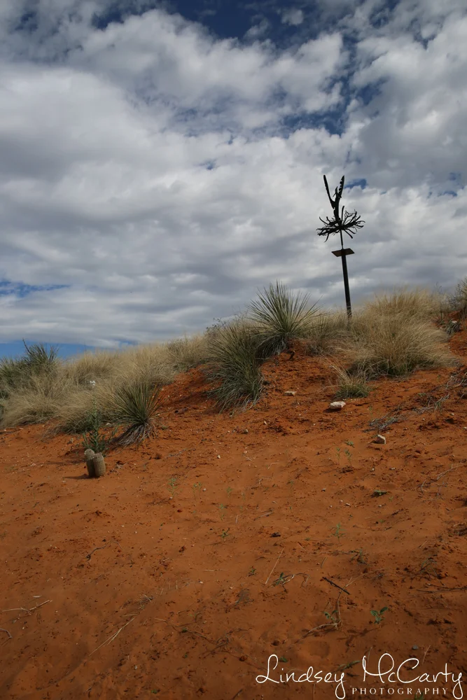 2015_NewMexico_psewl_012.jpg