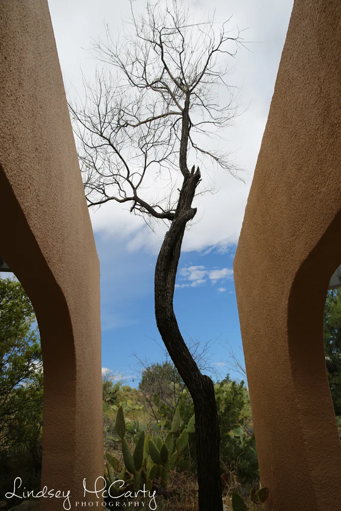 2015_NewMexico_psewl_054.jpg