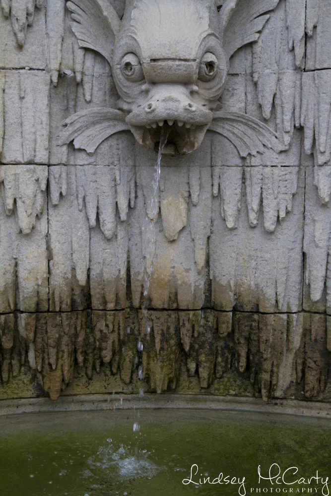 2017_Asheville_psewl_7374.jpg