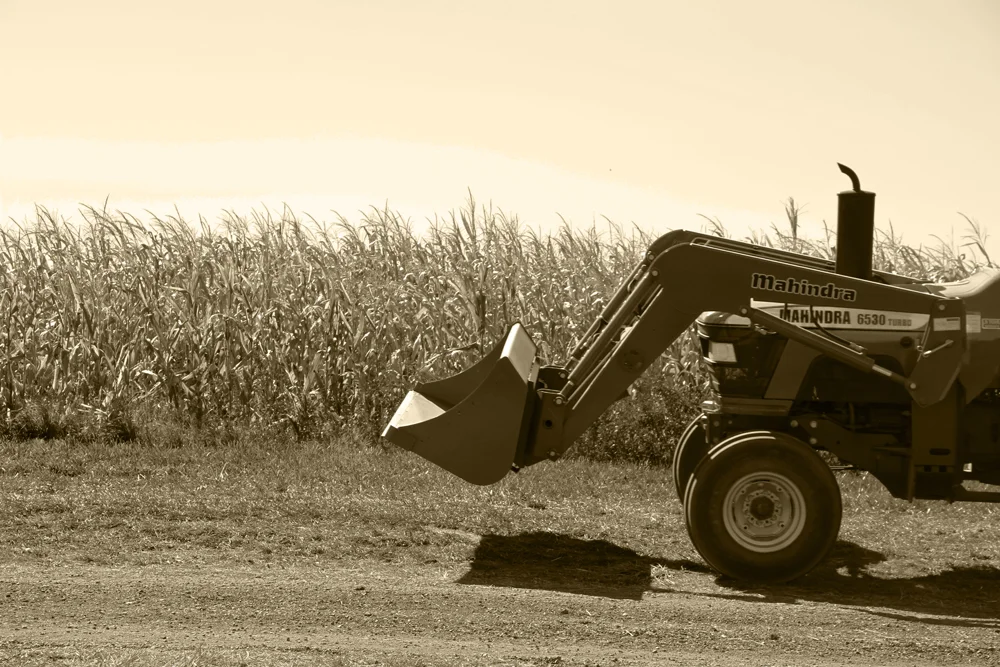 Minimized_PS Edits Sinkland Farms_1544.jpg