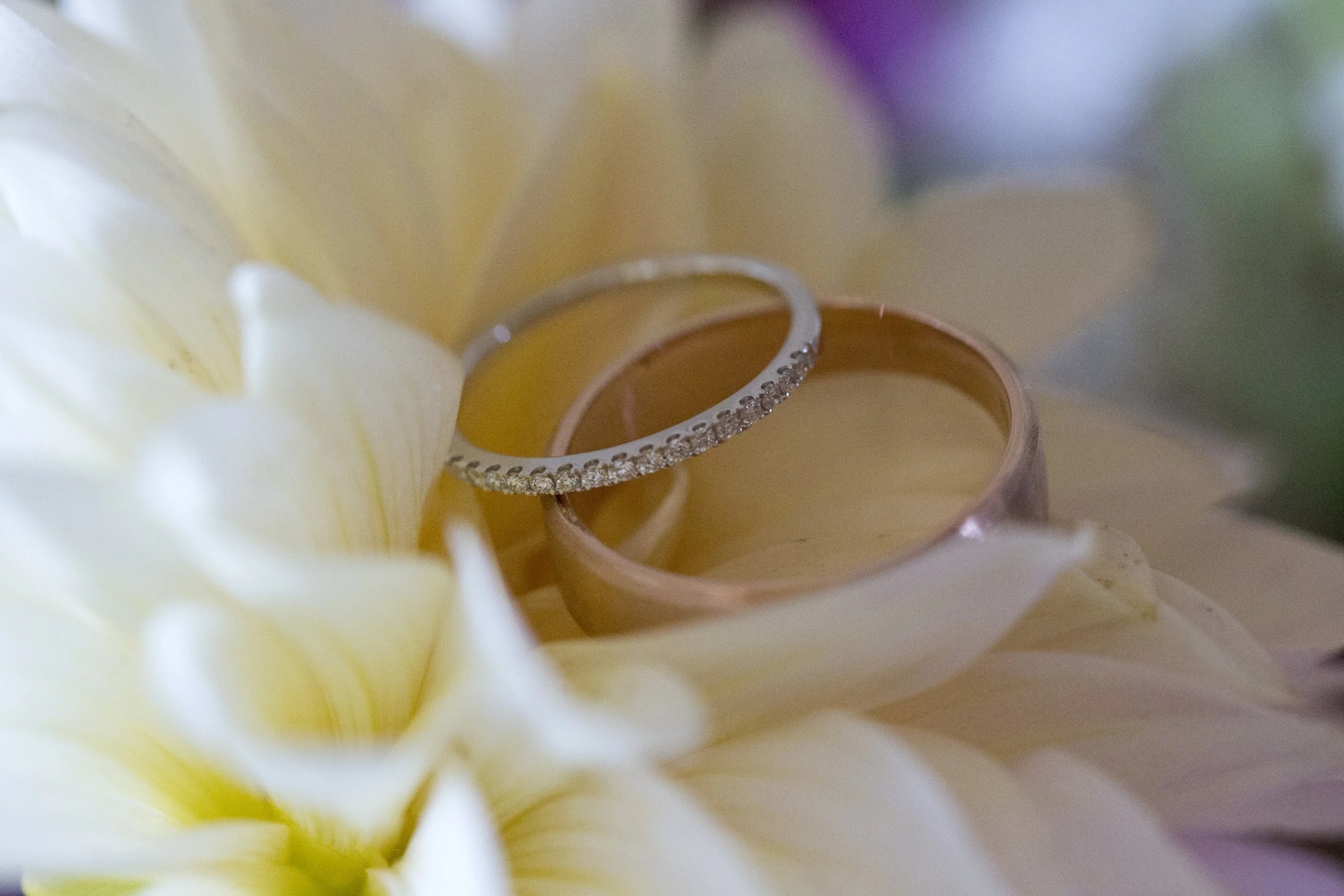 2016_Corin-Akin Wedding_1_PreCeremony_Final_F78A7112.jpg