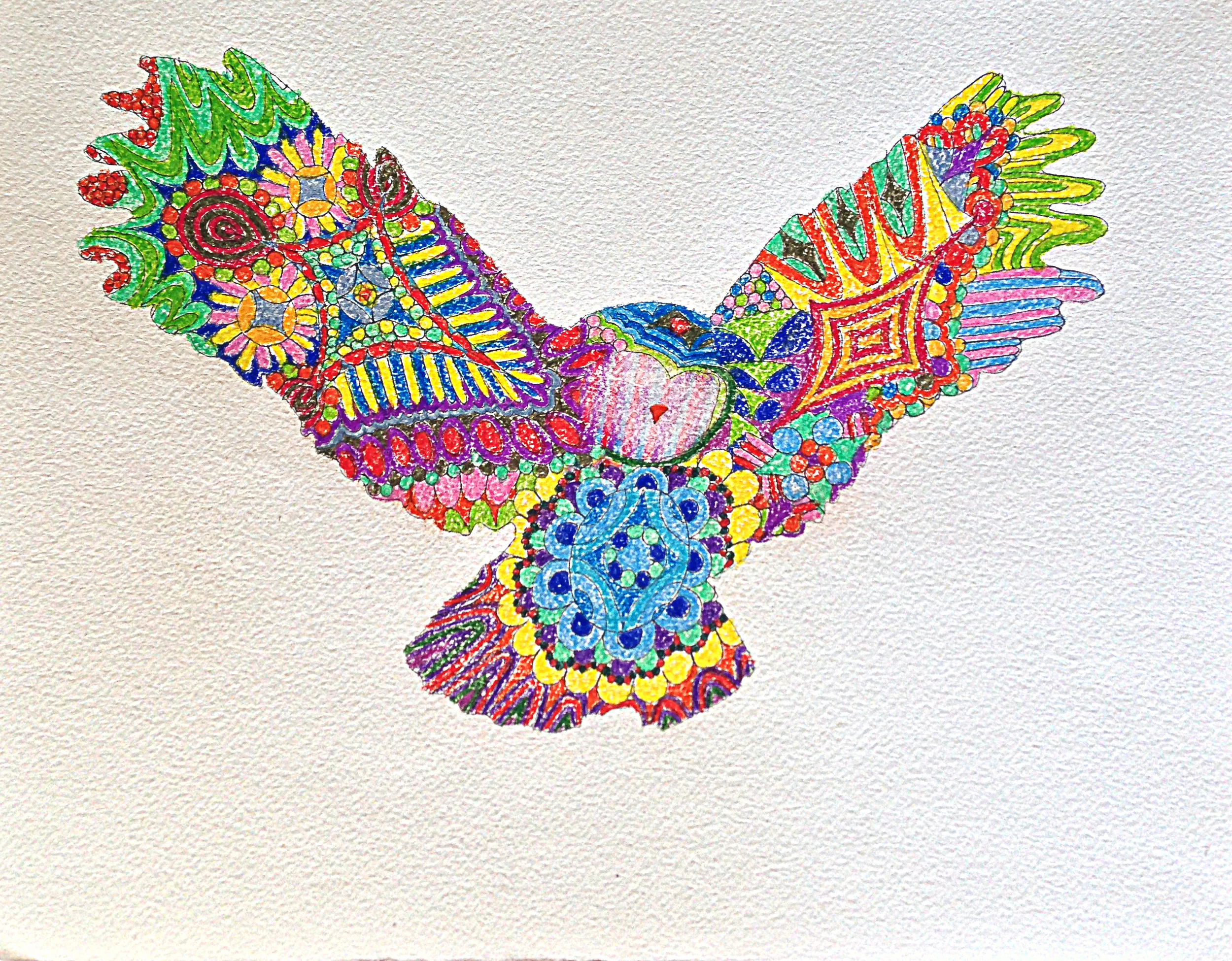  2013 sakura pen and color pencil on paper 8 x 10 inches 