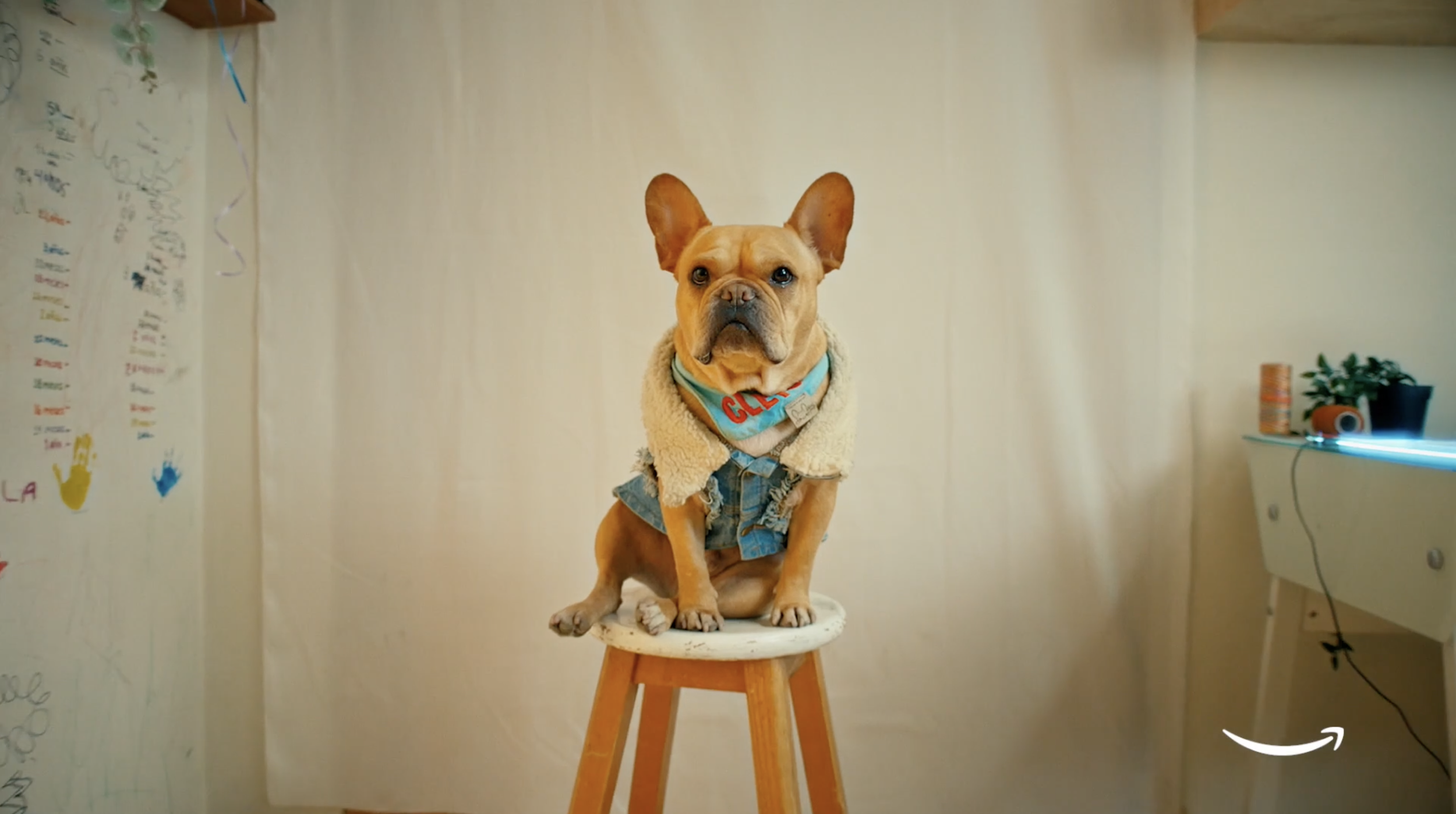 Amazon I ¿Por qué no?