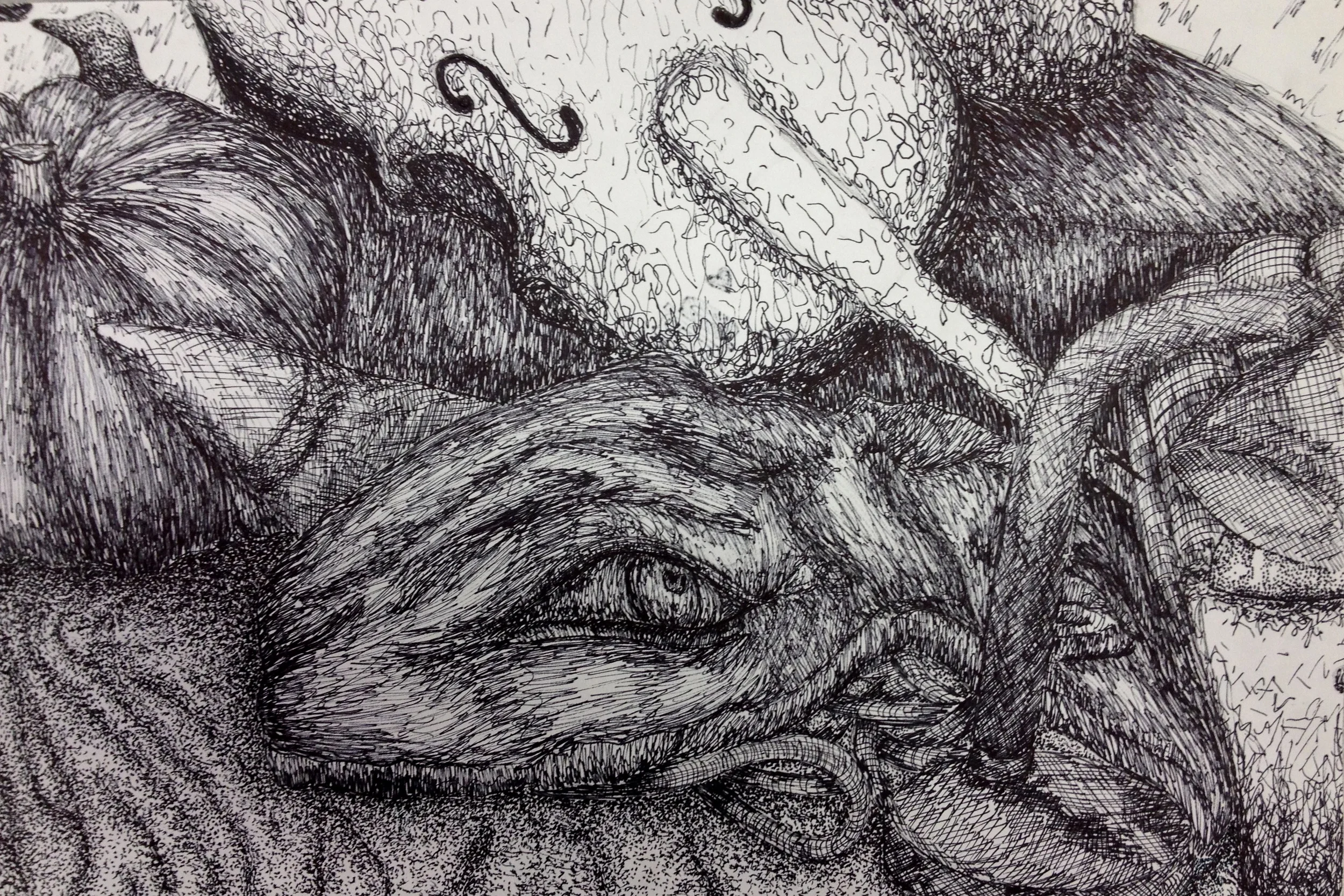 7th Grade still life in ink