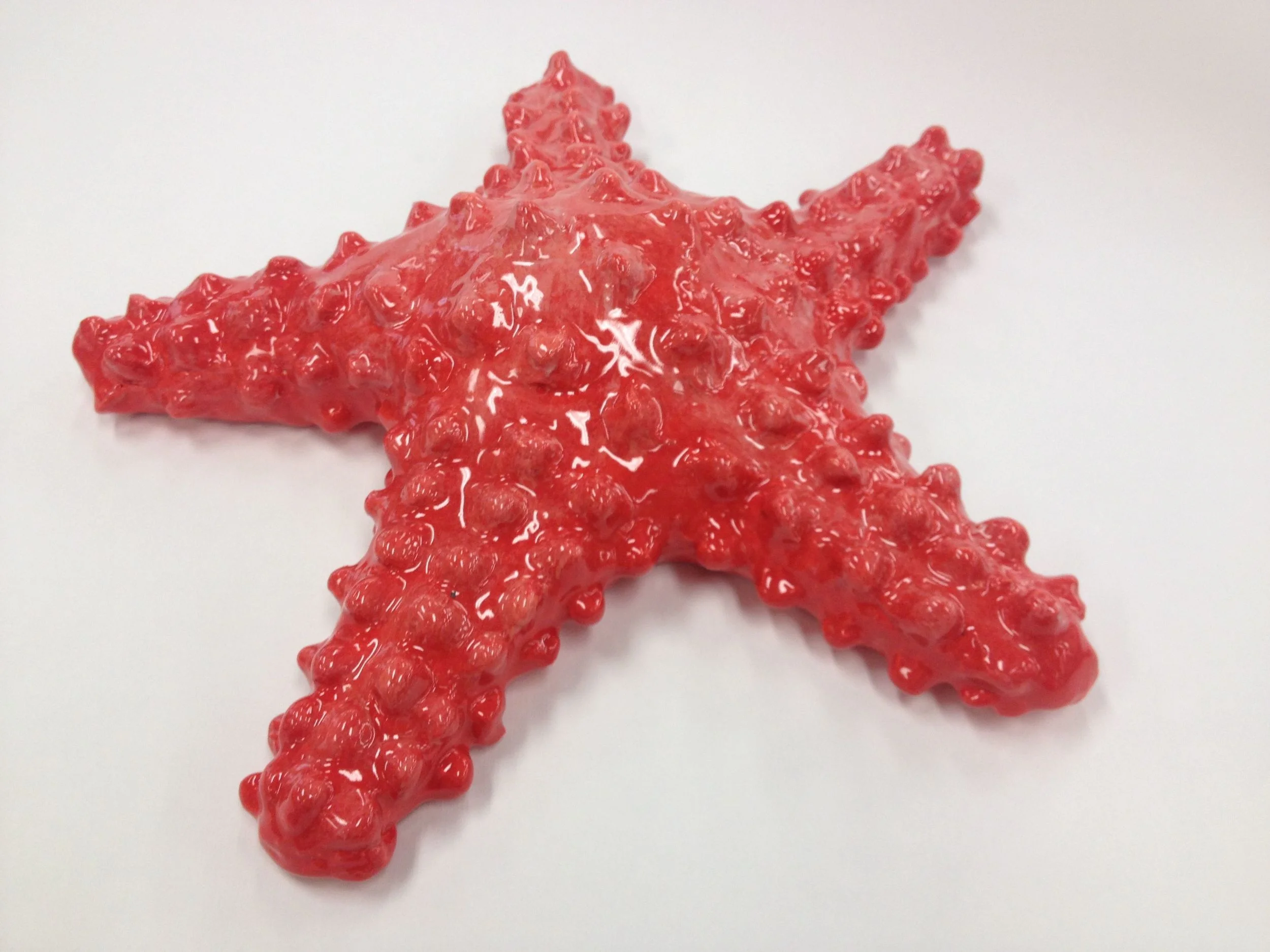 8th Grade Ceramic Starfish