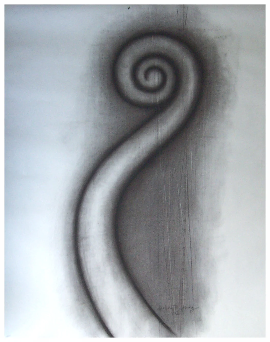'Single Tree Fern'  Charcoal on Paper