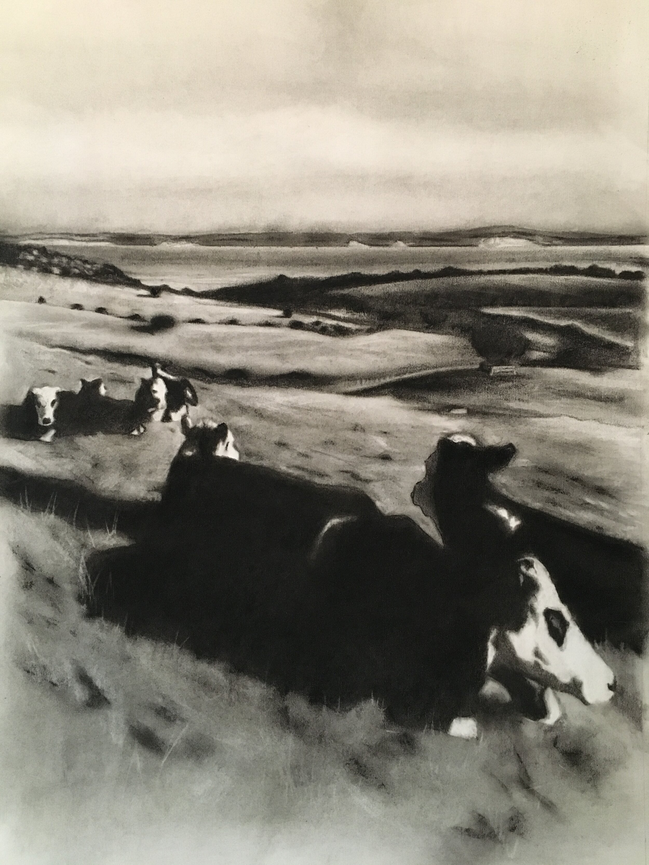 'Toward Army Bay' Charcoal on Paper