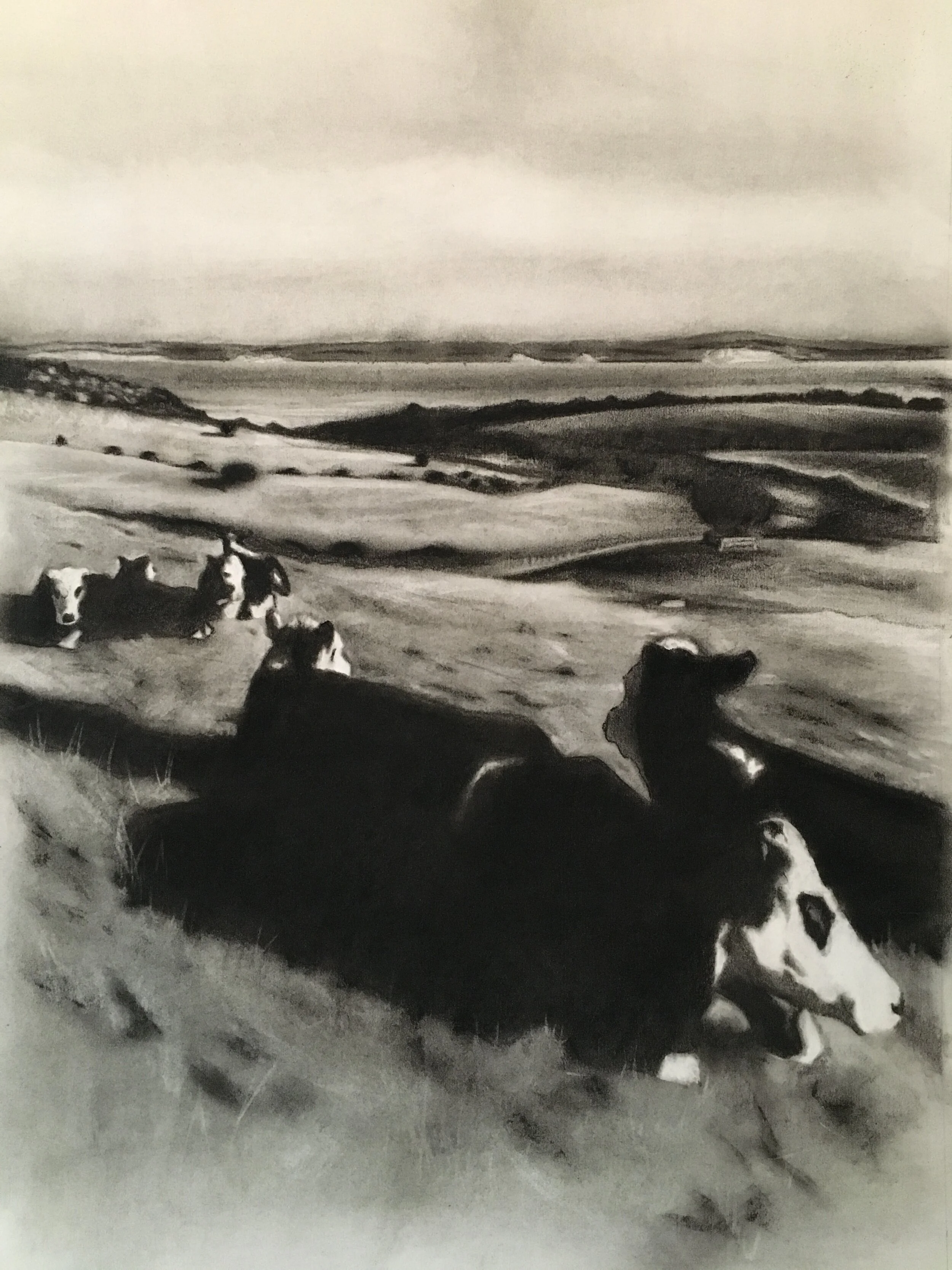 'Toward Army Bay' Charcoal on Paper        