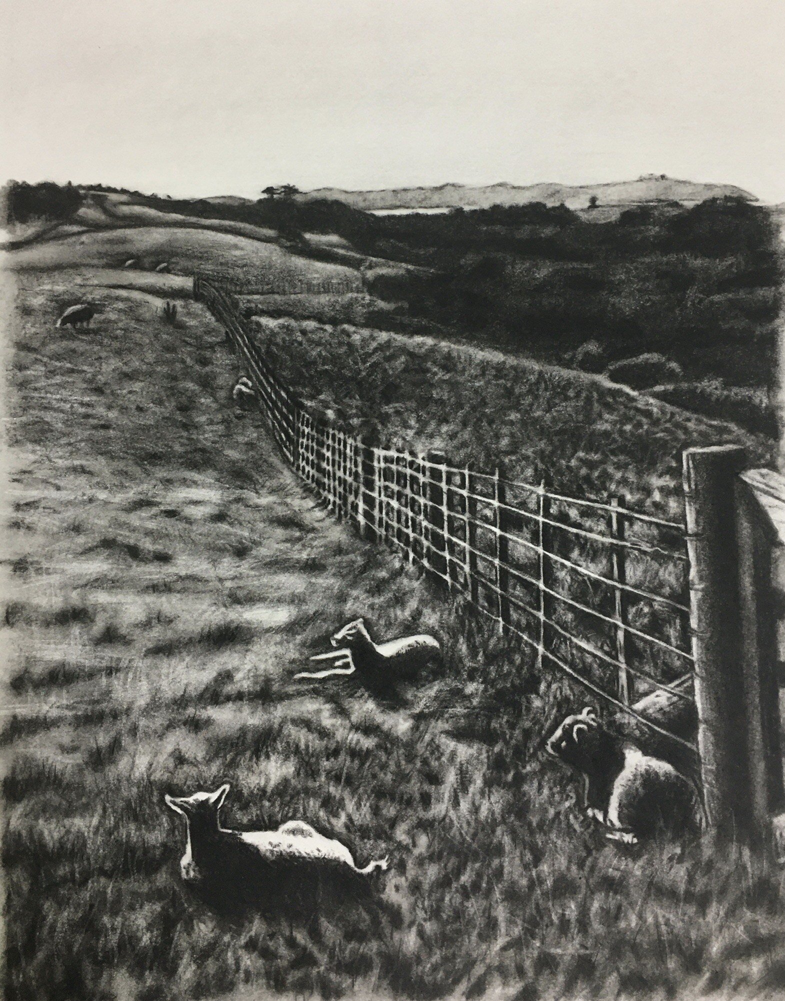 'Toward Tiri' Charcoal on Paper 540x420mm Sold