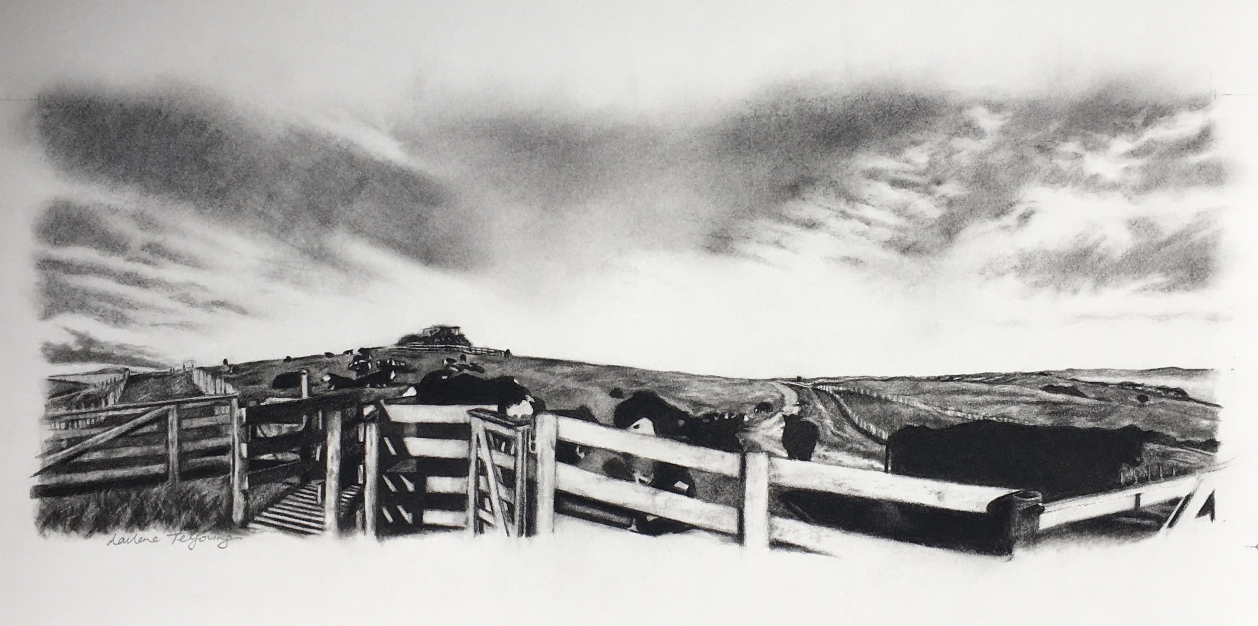 'Shakespear Park no 5' Charcoal on Paper 370x700mm (Framed Size) NZD $425