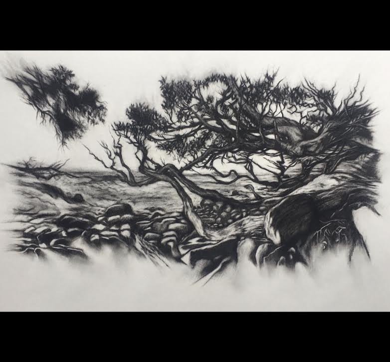 'Tree, Stone,Sand'
