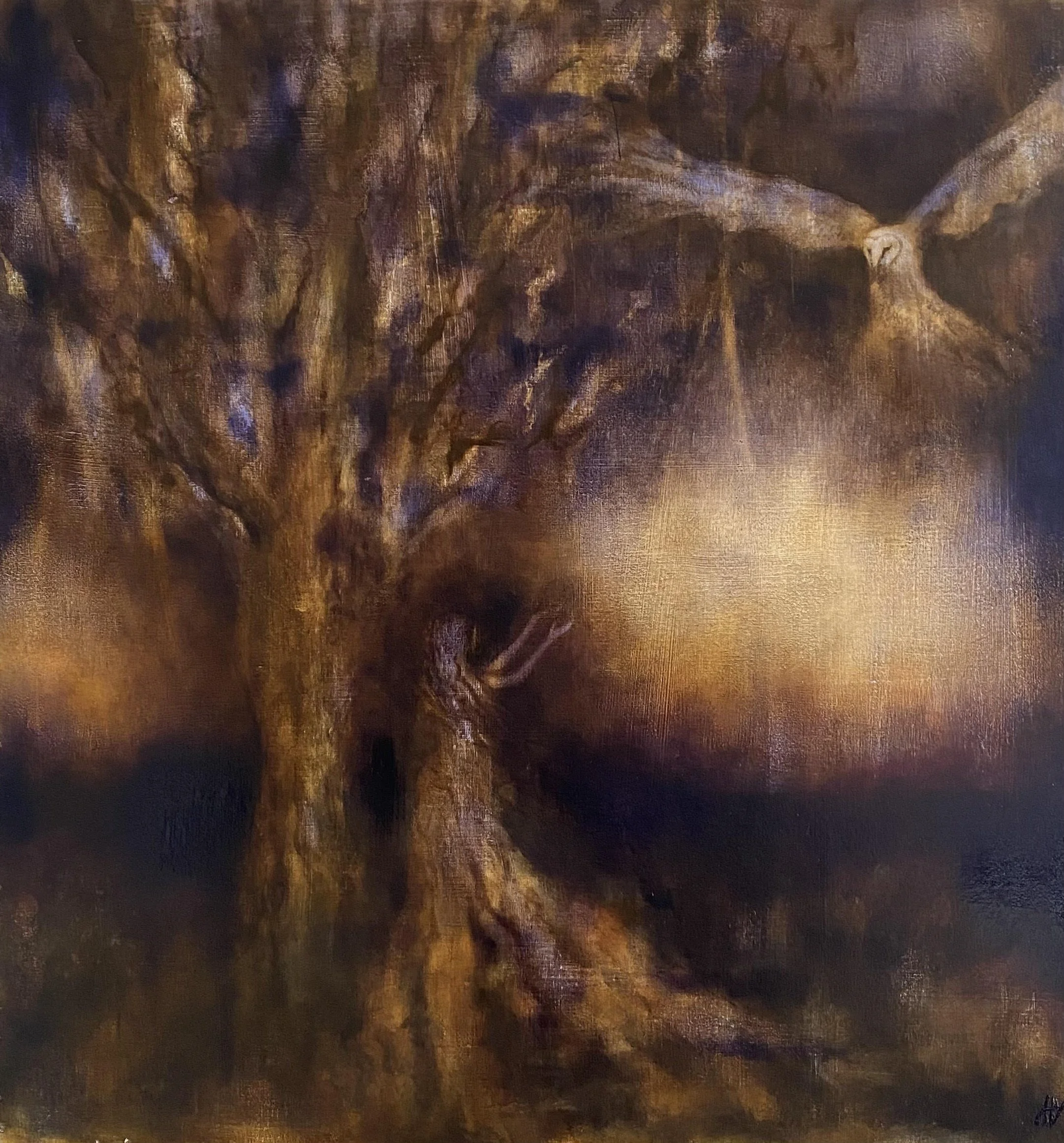 'Tarnya and the Owl'