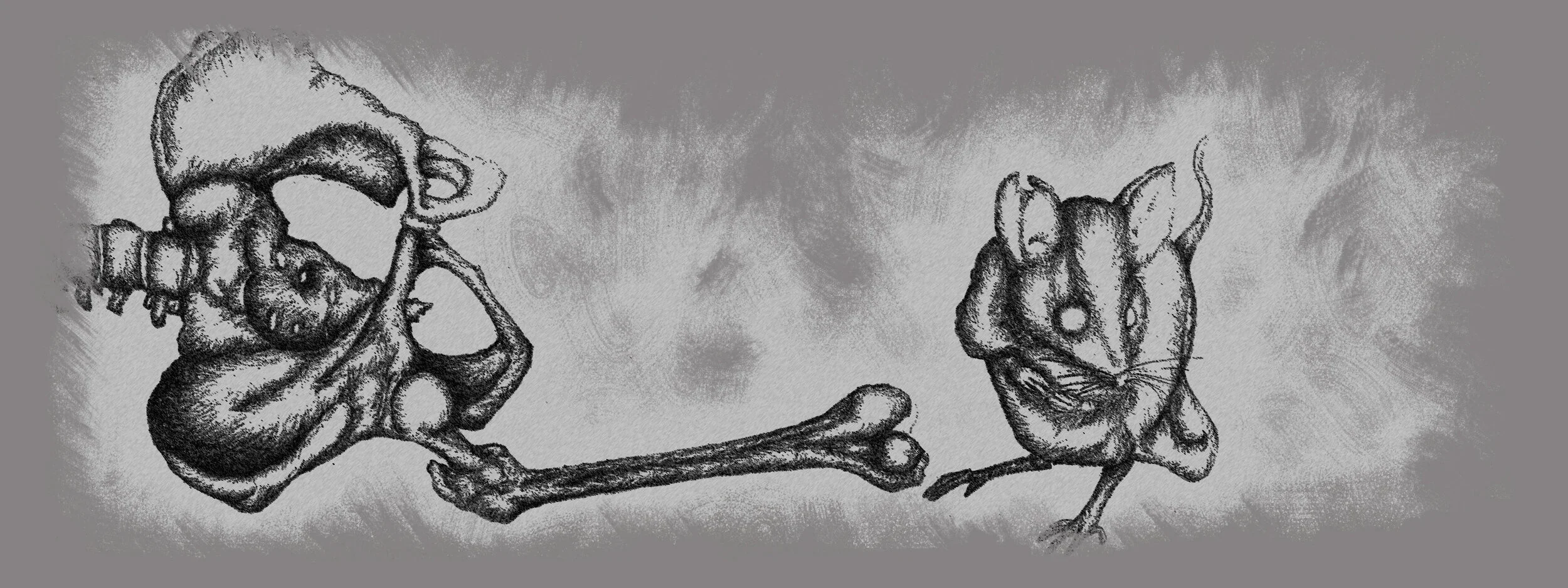 mouse and bones NEW.jpg