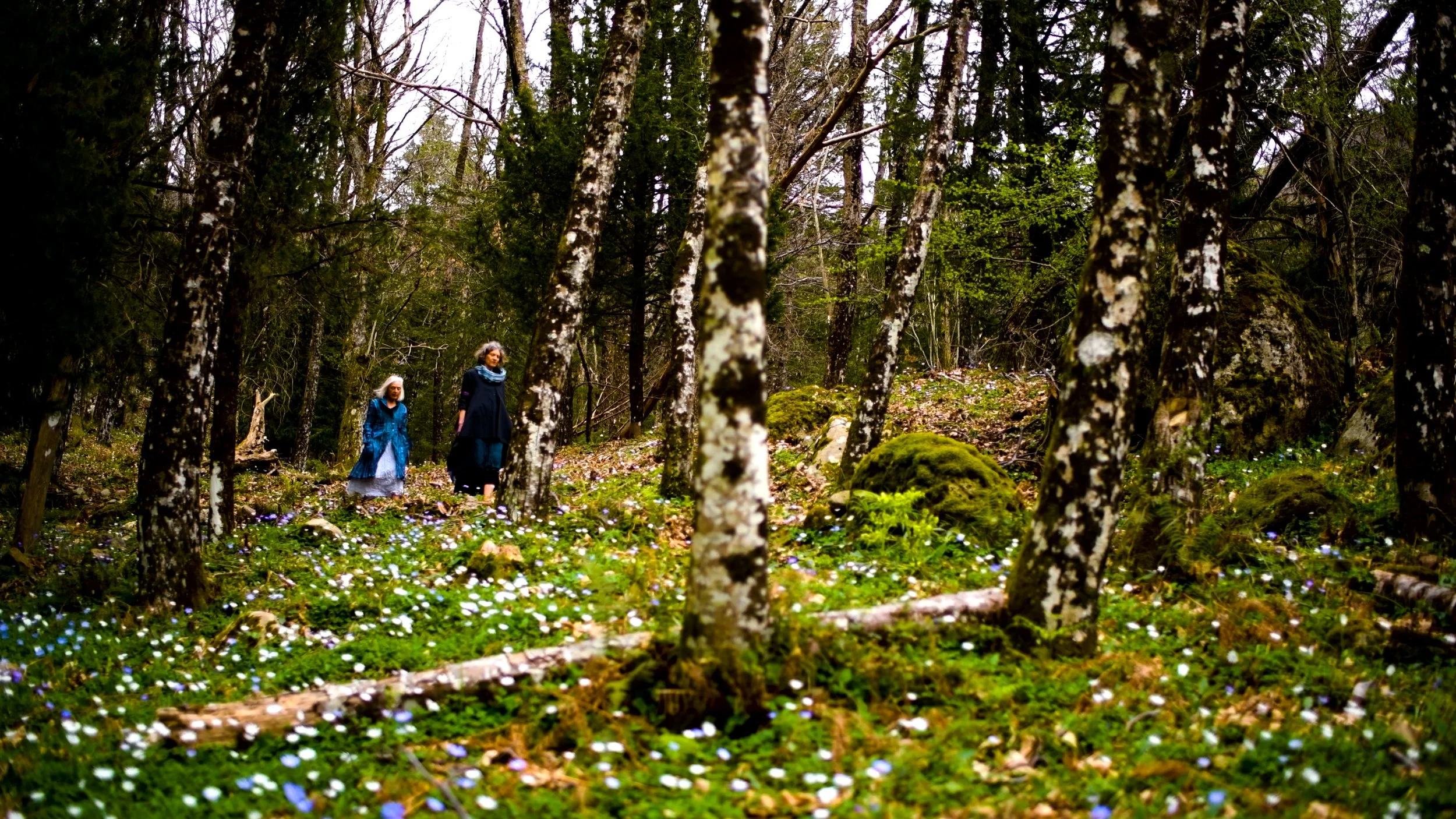 La Passeggiata.00_02_24_19.Still015.jpg