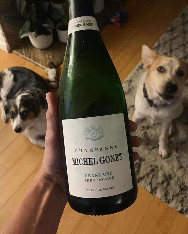 Trying to capture the 🐶🐶 and 🍾 is nearly impossible, but at least one of them is calm....
Anyways, we just got this wine in and I&rsquo;m very excited to be able to offer it. 
A little backstory: Champagne Gonet was founded in 1802 and since then,