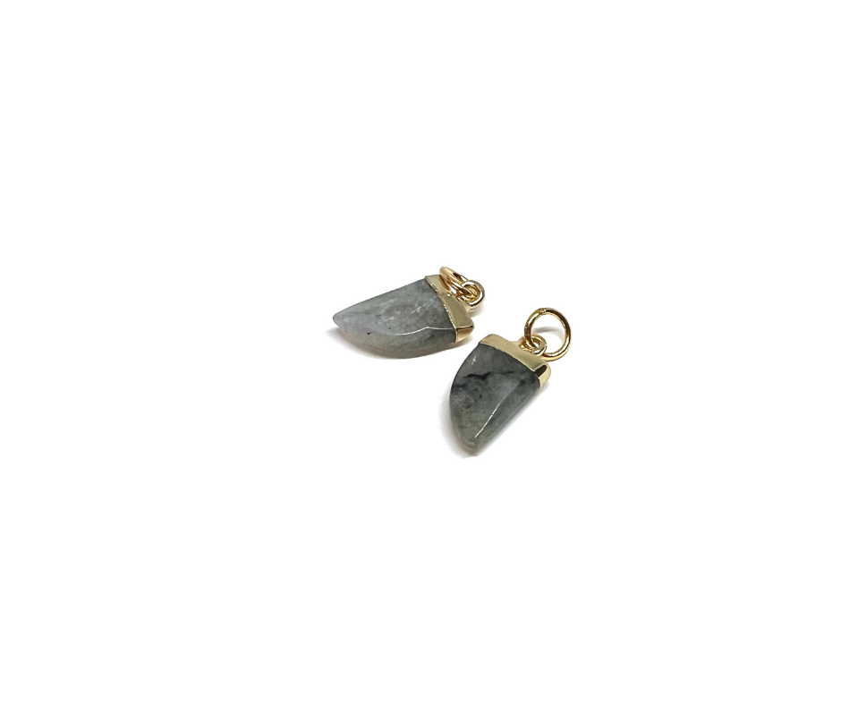 Labradorite Fin Talisman .png