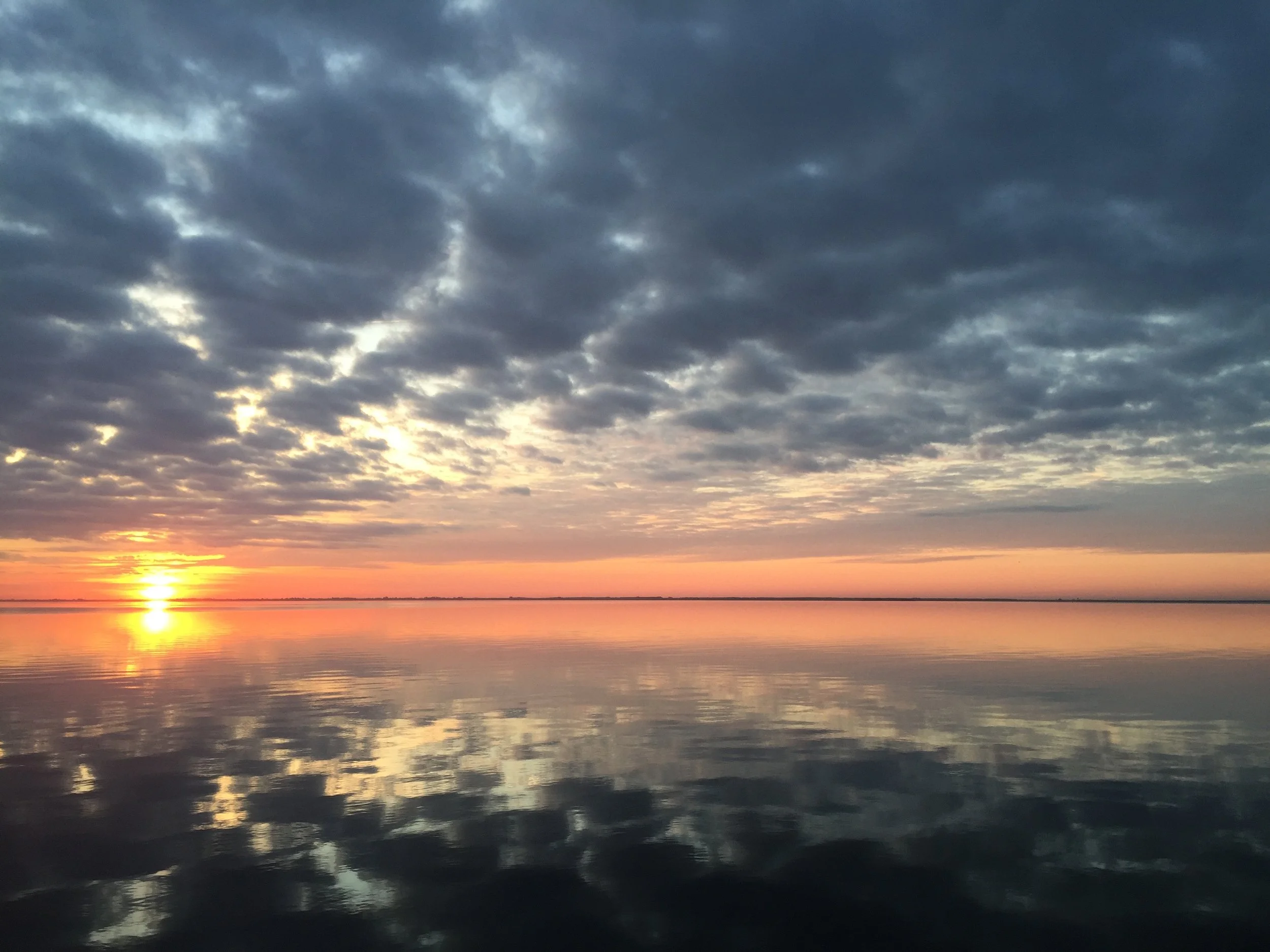 1.15.2016 :: MORICHES BAY