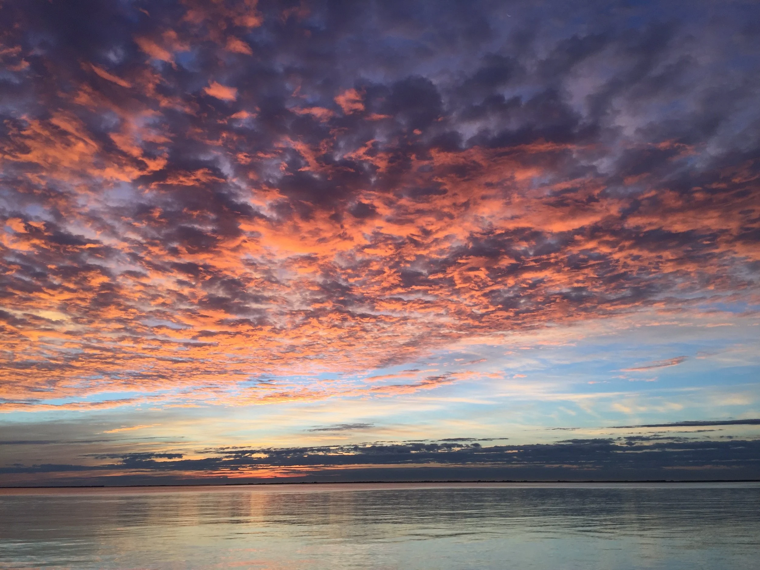 11.7.2015 :: MORICHES BAY