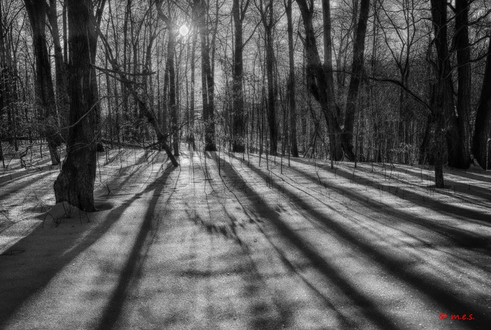 Winter's Long Shadows