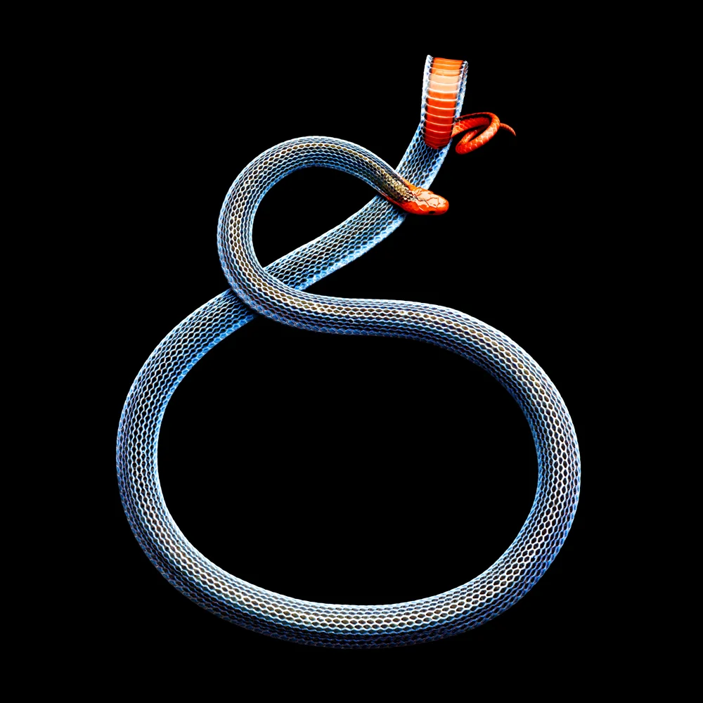 mark-laita-sea-serpentine-amaranthine.jpg