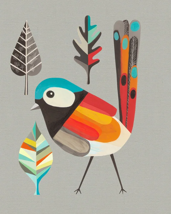 5.botany-fairy-wren-copy.jpg