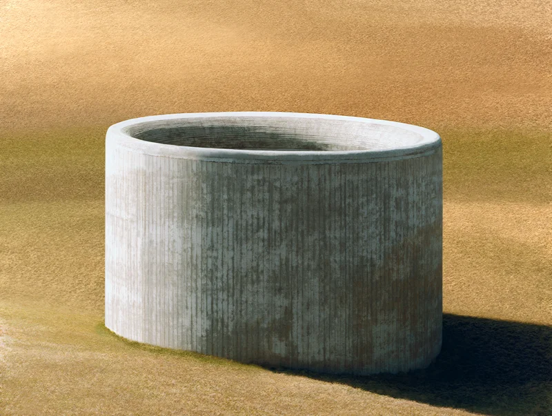 7b. inset -form_25.jpg