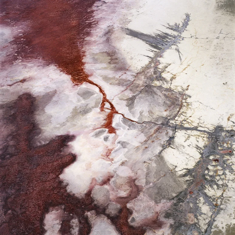 David Maisel: The Lake Project