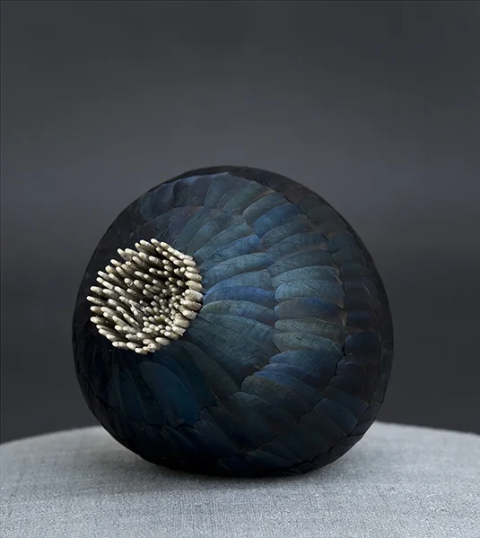 10b. onion-1b.jpg