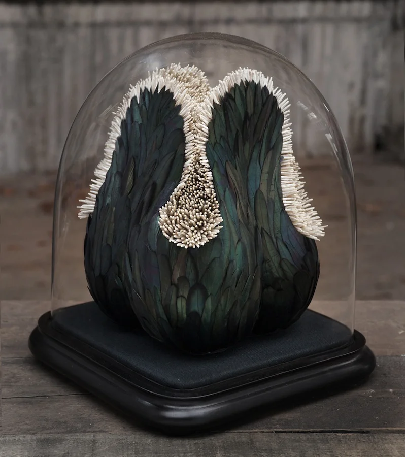 Green-Clam-glass_cropped-2.jpg