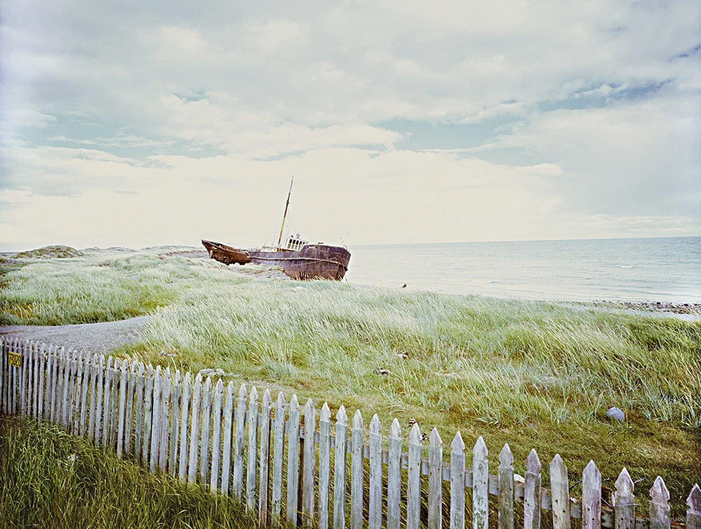 12b_Landscape_MichaelSchnabel_1000.jpg