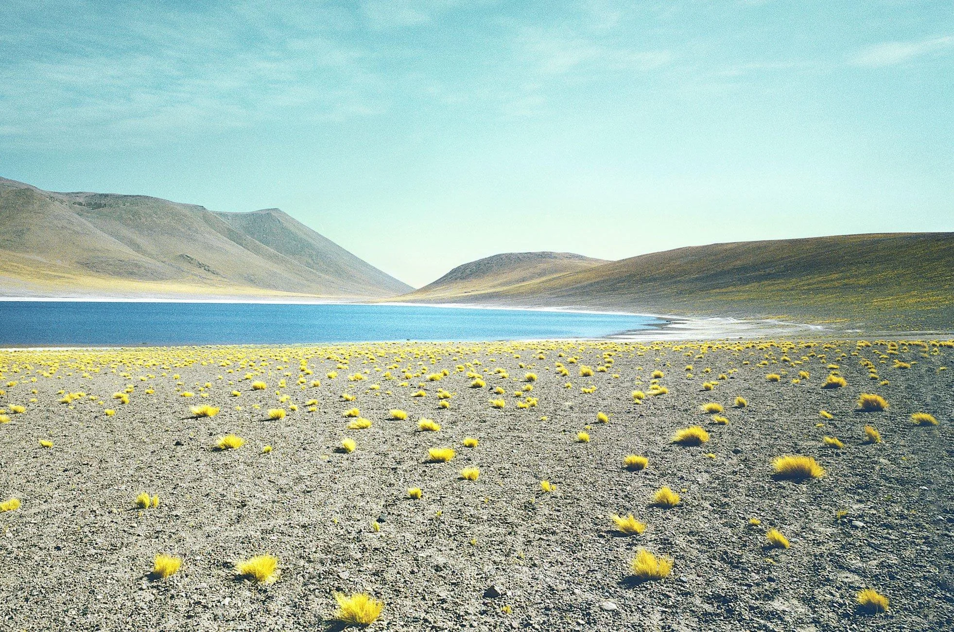 11_Landscape_MichaelSchnabel.jpg