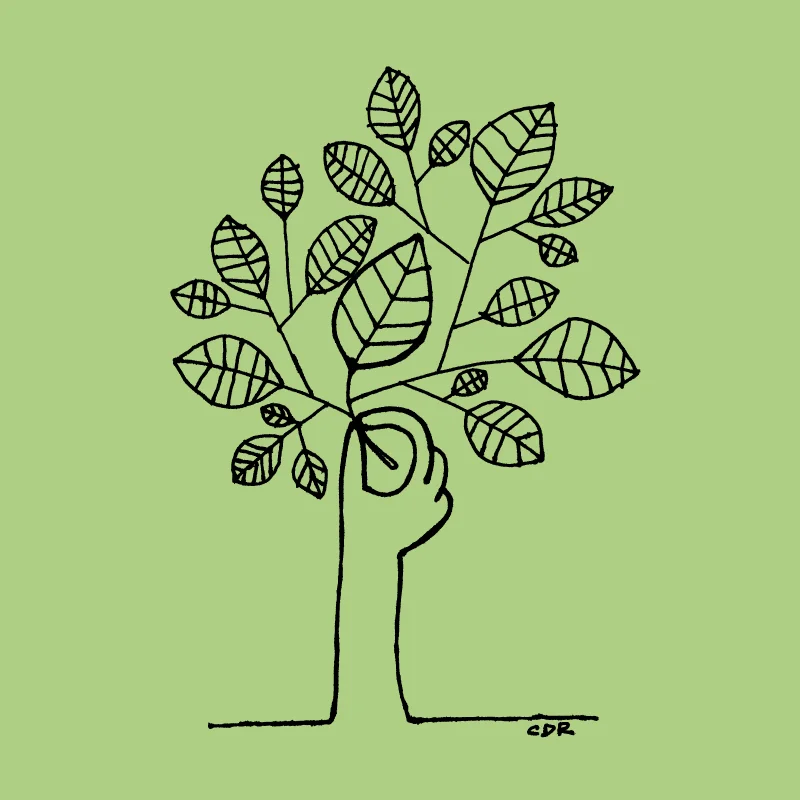 6b. Tree-Christopher_David_Ryan.jpg